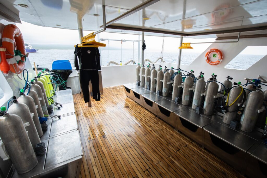 Tiburon Explorer Galapagos-Dive Deck- Sustainability Green Fins