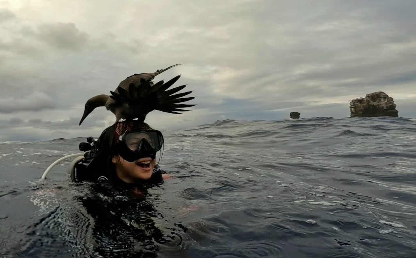 Isabelle Ho Galapagos Islands