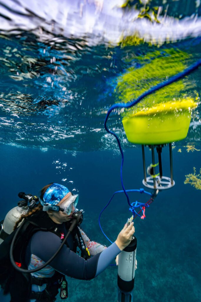 TC Reef Fund RumPowered Research East Caicos 2025 Pat Photos DSC00594 | Explorer Ventures Fleet® Liveaboard Diving