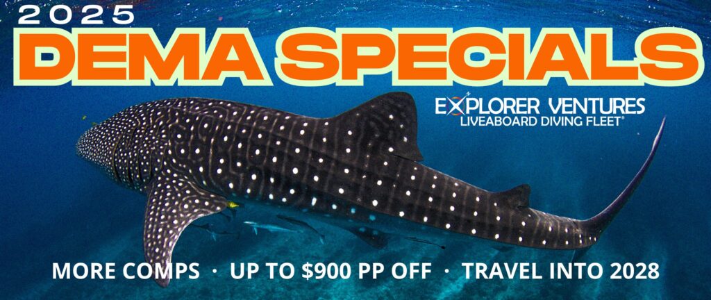 DEMA Specials 2025 - Explorer Ventures Liveaboard Fleet