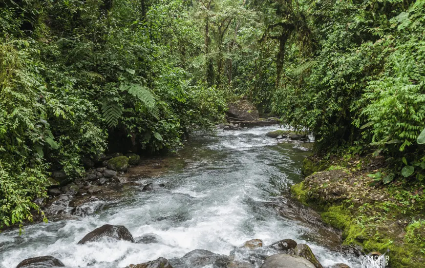 Mindo-Nambillo Ecological Reserve -Canva (1)