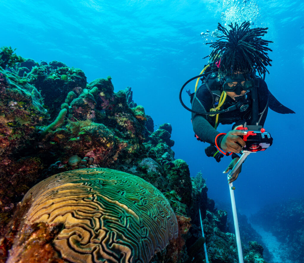 From Research Trip to Conservation Community: RumPowered Research® in East Caicos | Explorer Ventures Fleet® DSC02712 | Explorer Ventures Fleet® Liveaboard Diving