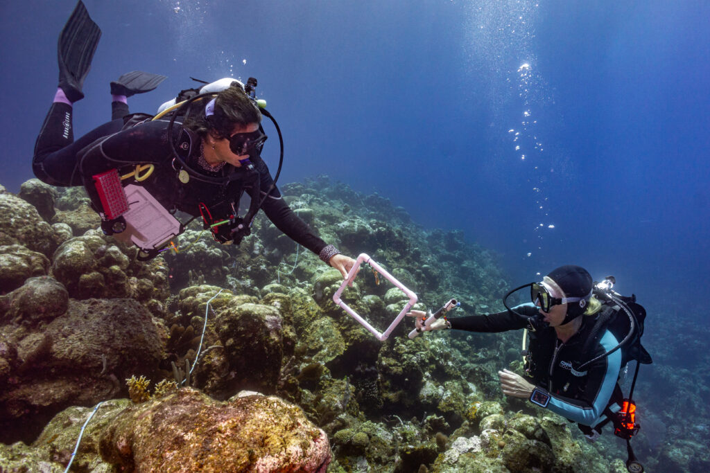 From Research Trip to Conservation Community: RumPowered Research® in East Caicos | Explorer Ventures Fleet® DSC02818 | Explorer Ventures Fleet® Liveaboard Diving