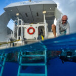 Provided by Patricia Guardiola Slattery/TC Reef Fund