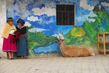 Ecuador Tours | Explorer Ventures Fleet® Otavalo, Ecuador